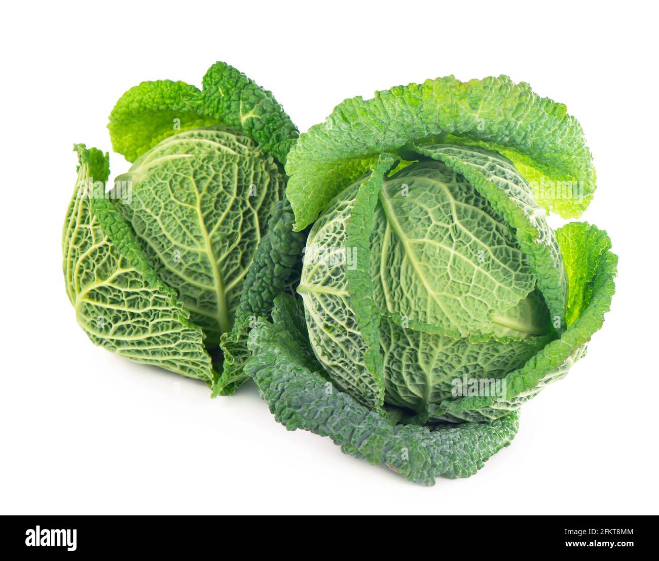 Whole head of savoy cabbage over white background Stock Photo - Alamy
