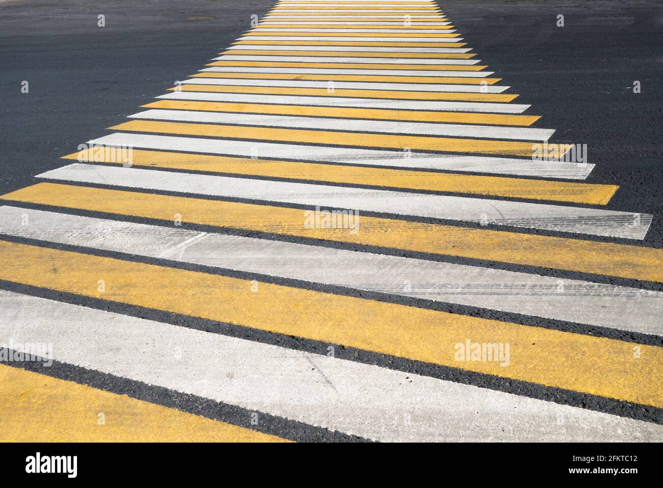 Cross zebra High Resolution Stock Photography and Images Alamy