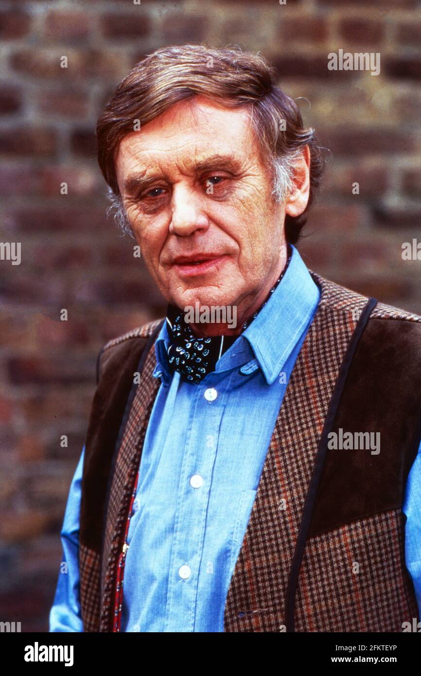 Park Hotel Stern, Fernsehserie, Deutschland 1996 2002, Darsteller Horst Frank Stock Photo Alamy