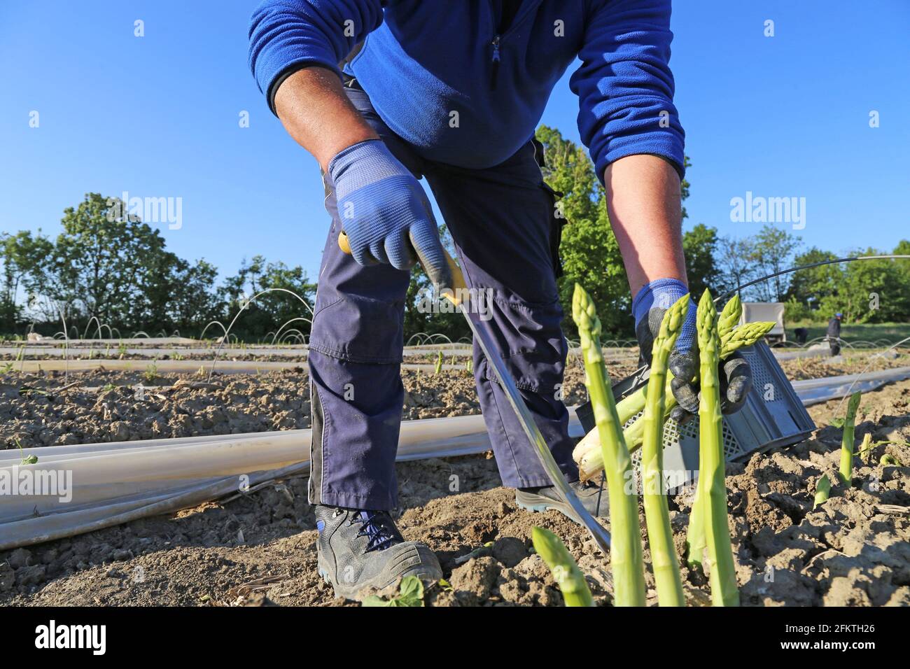 Farm workers green hires stock photography and images Alamy