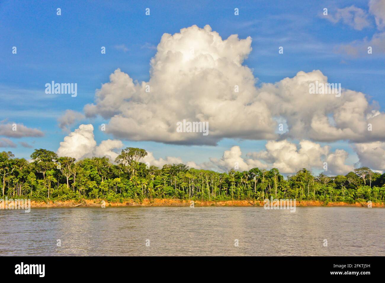 Amazon Basin, Peru, South America Stock Photo - Alamy