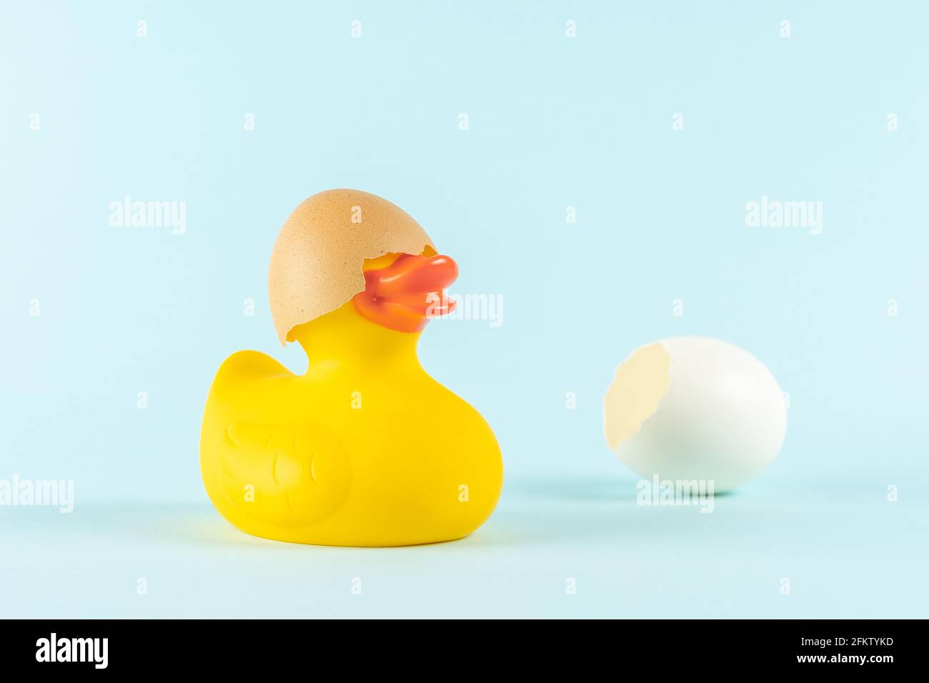 Rubber duck with cracked Easter eggs on pastel blue background. Easter minimal concept. Creative Happy Easter or spring layout. Stock Photo