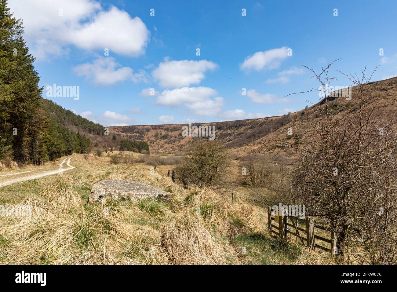 View on North Dale, Newton Dale along the North Yorkshire Moors Railway, Stape, North York Moors, Yorkshire, England Stock Photo