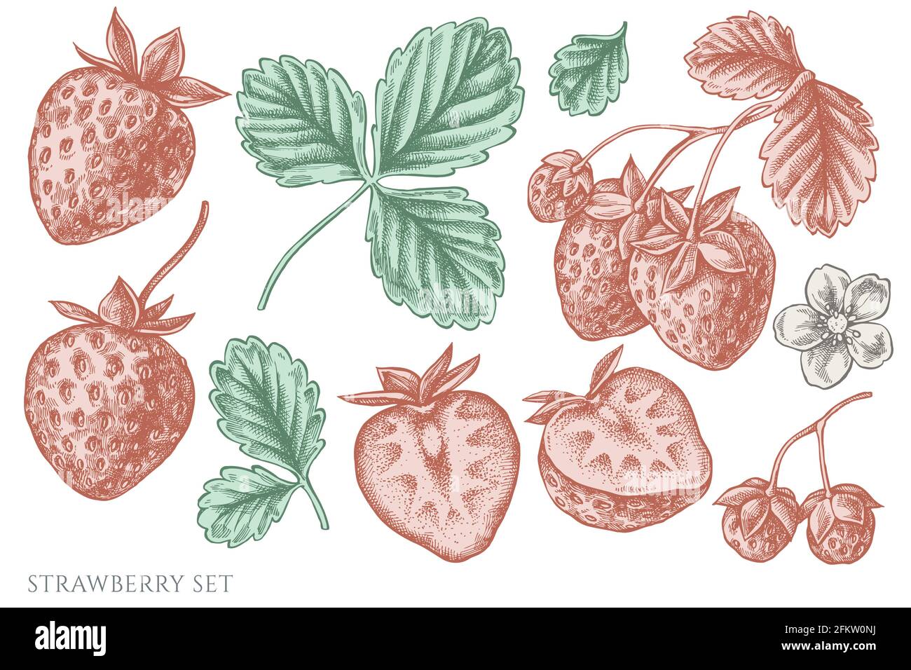 Vector set of hand drawn pastel strawberry Stock Vector Image & Art Alamy