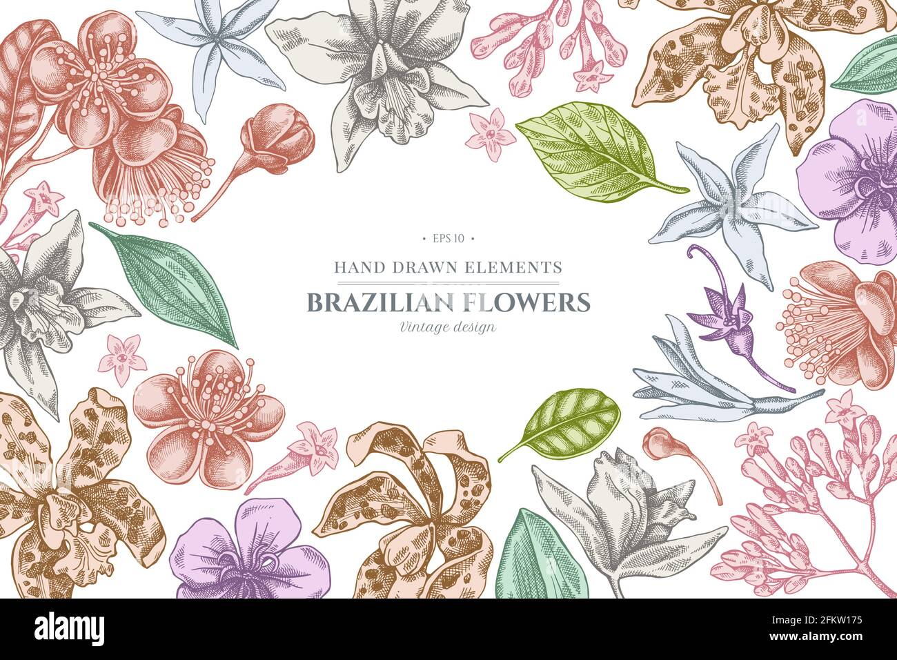 Floral design with pastel laelia, feijoa flowers, glory bush, papilio torquatus, cinchona, cattleya aclandiae Stock Vector