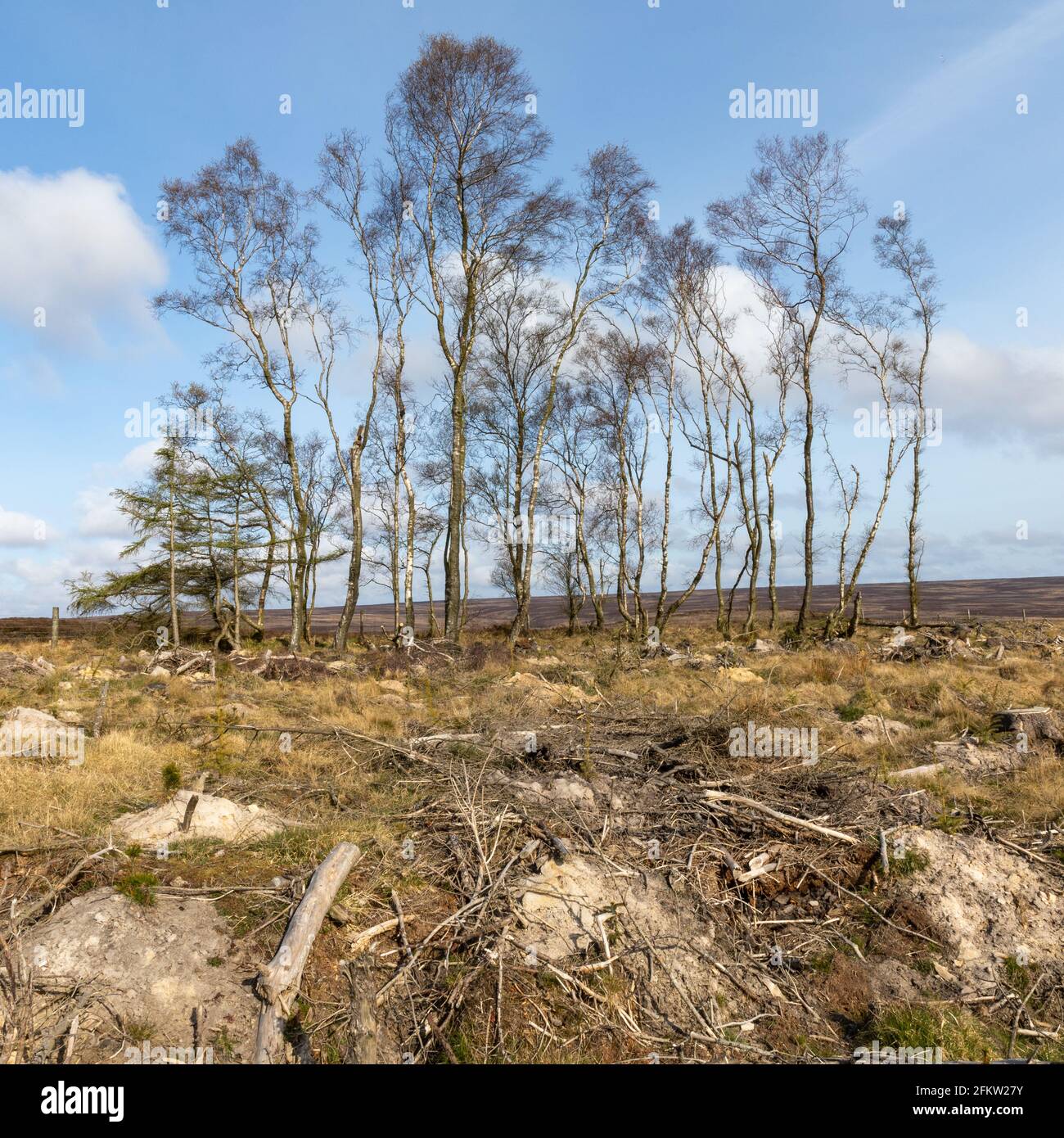 Wheeldale hires stock photography and images Alamy