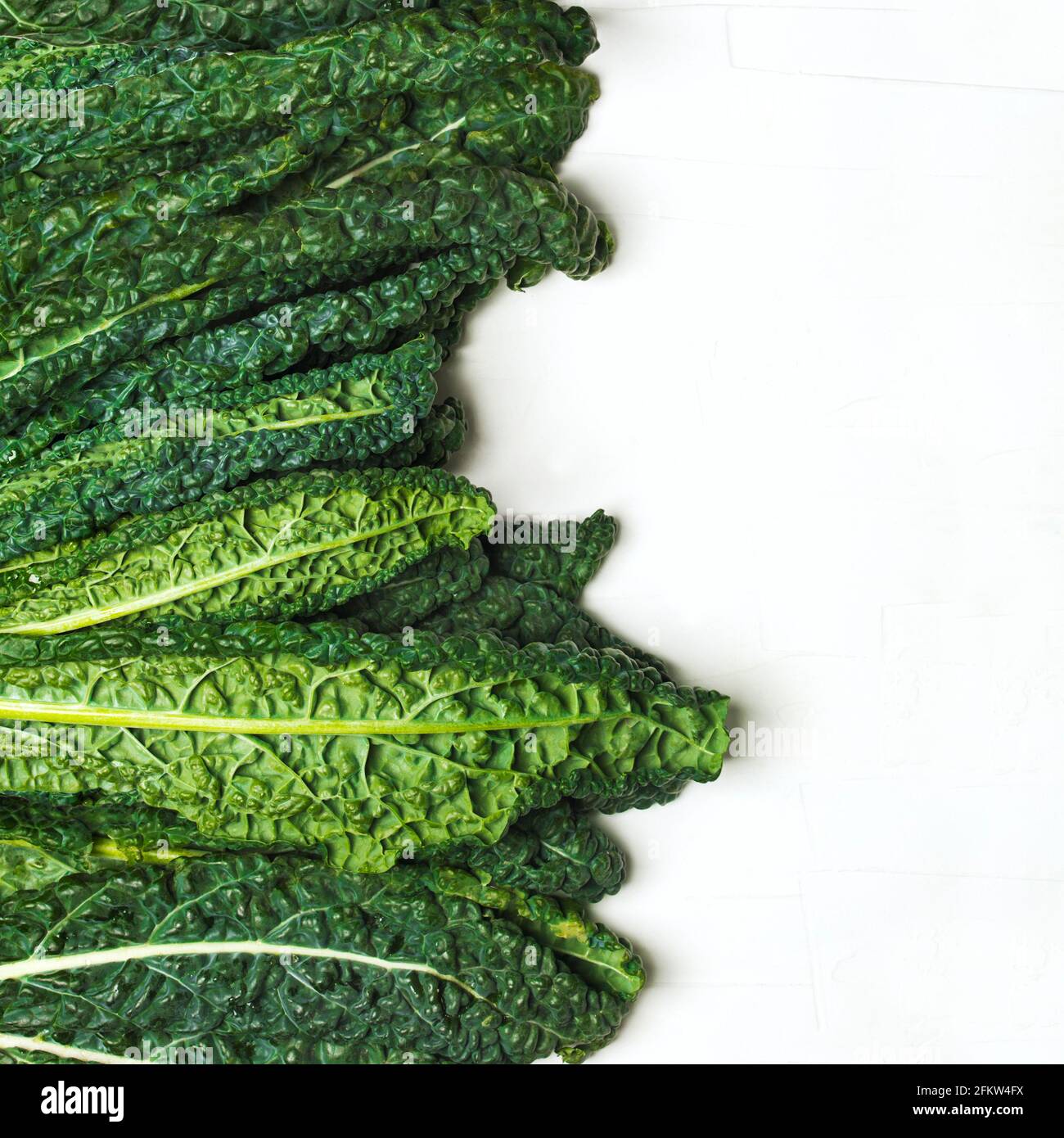 Fresh Green Kale on white background Stock Photo