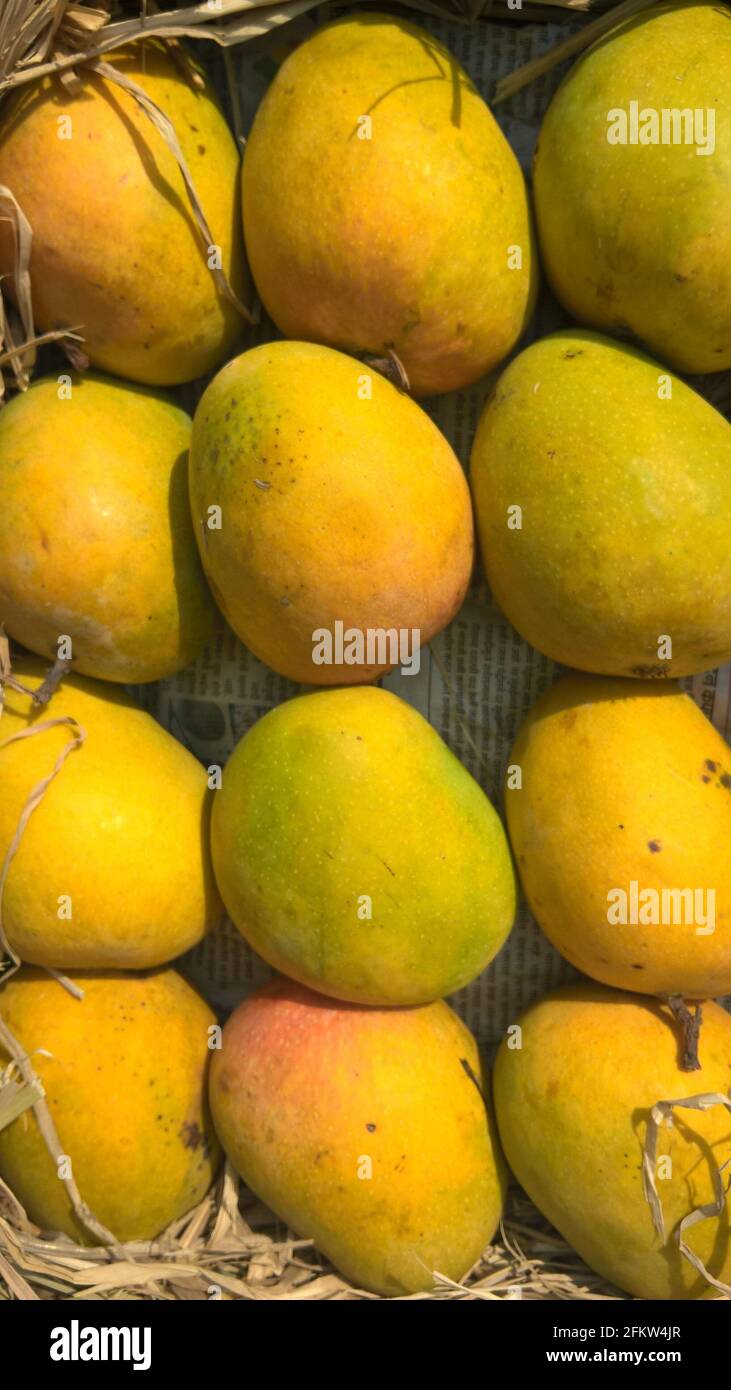 Rotten mango hi-res stock photography and images - Alamy