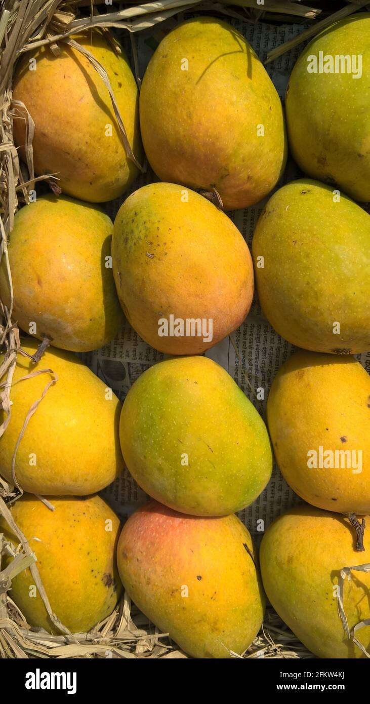 Premium Photo  Rotten mango. overripe fruit on a white surface.isolated