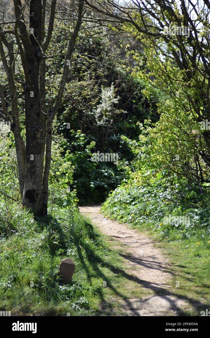 Rural path in sun hi-res stock photography and images - Alamy