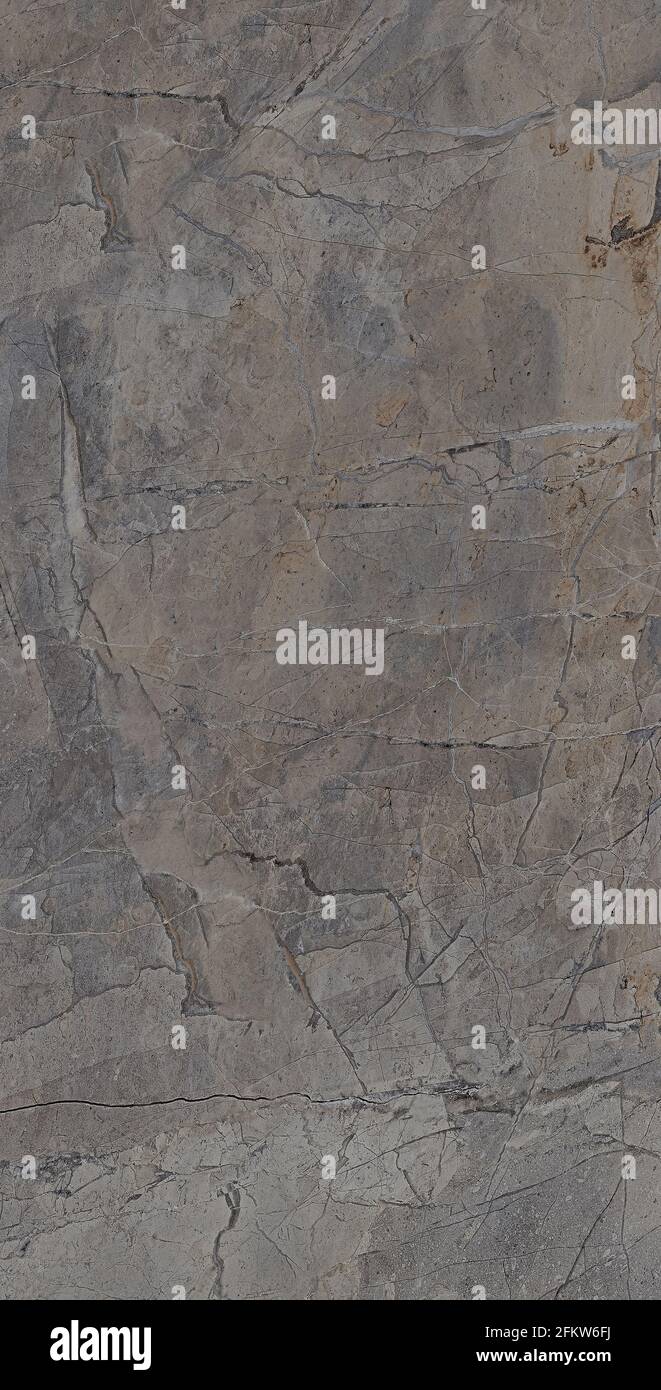 quartzite with natural veins high resolution image for slab and tile design Stock Photo