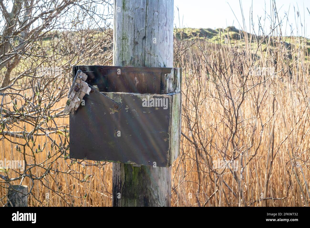 Black Box at Utility Pole for transmission of electricity and communication to dwellings in rural Ireland. Stock Photo