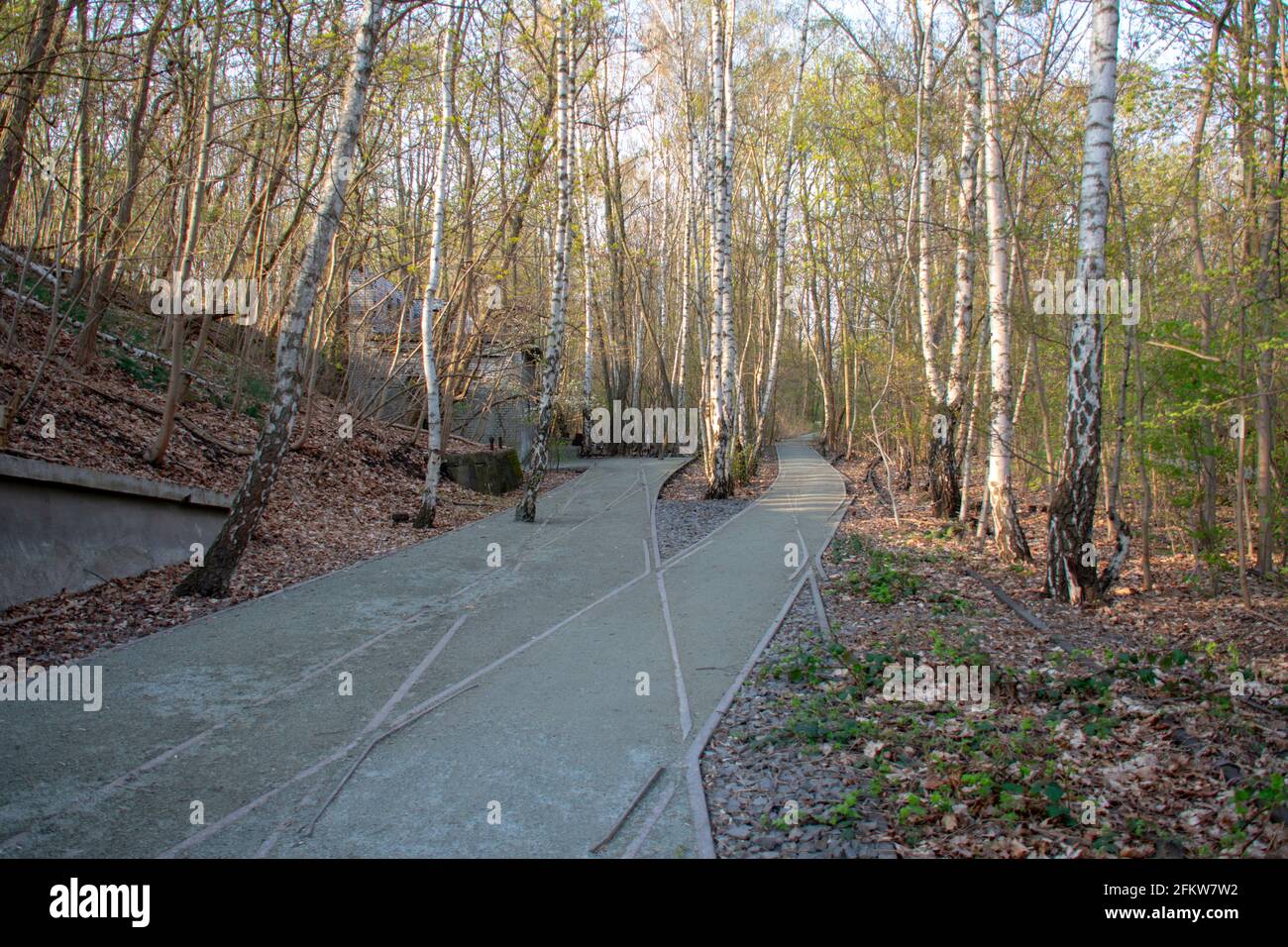 Landscape in Nature park Schoneberger Sudgelande in Schoneberg Berlin Stock Photo