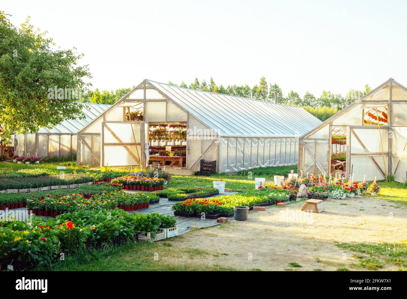 A potted flower nursery with wooden greenhouses and a flower market