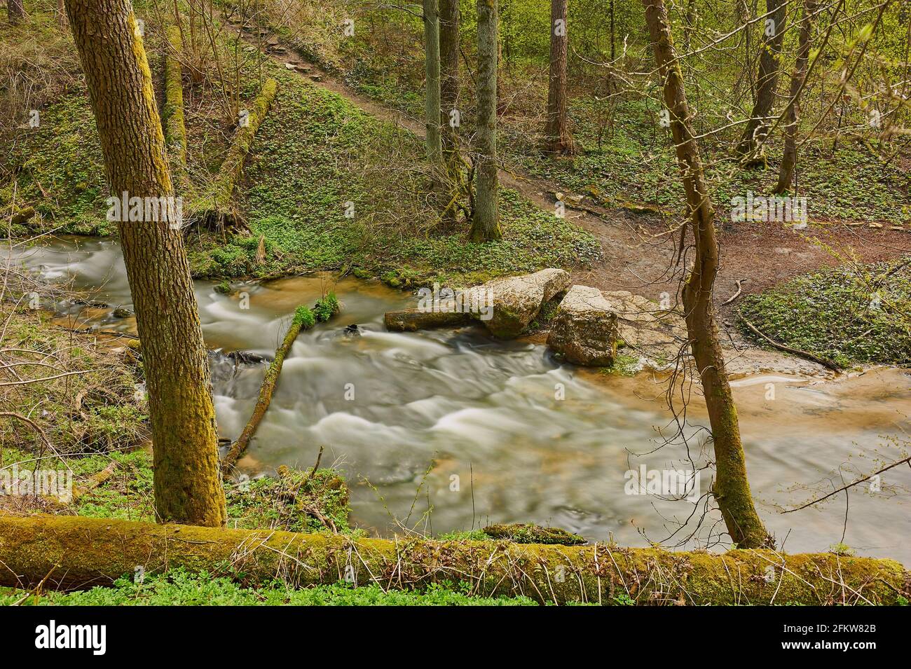 River flowing through the forest Stock Photo - Alamy