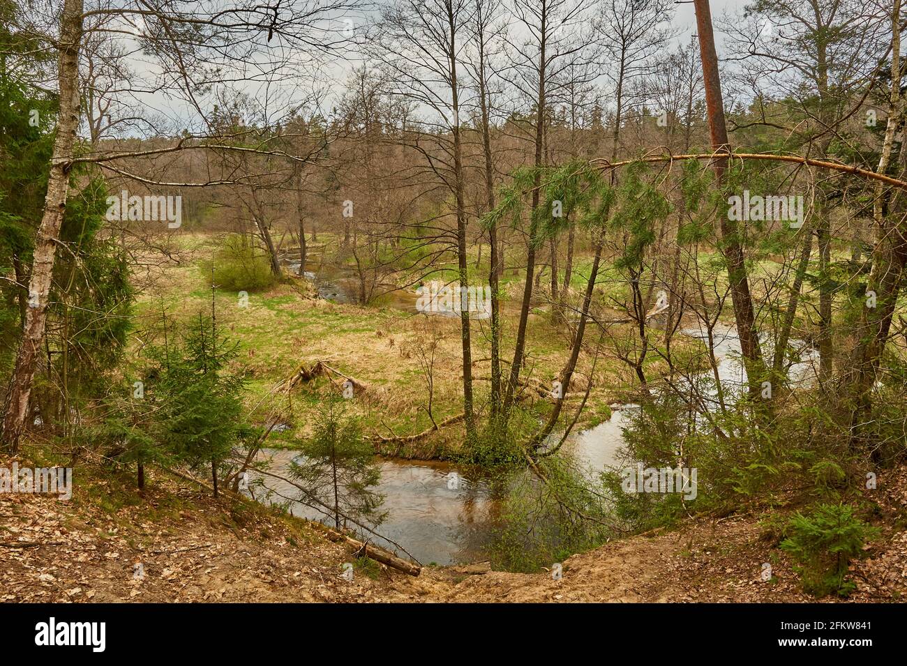 River flowing through the forest Stock Photo - Alamy