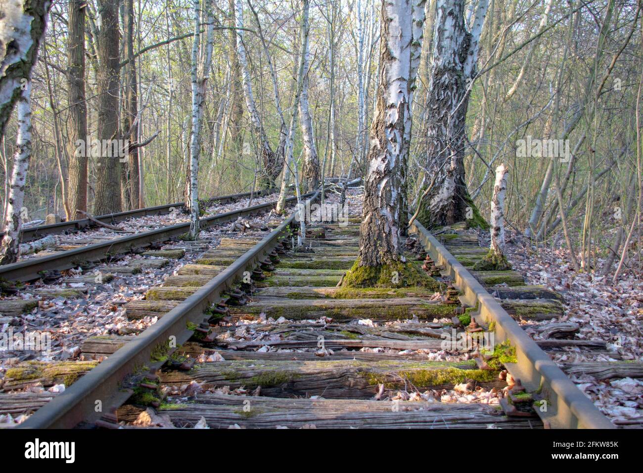 Landscape in Nature park Schoneberger Sudgelande in Schoneberg Berlin Stock Photo