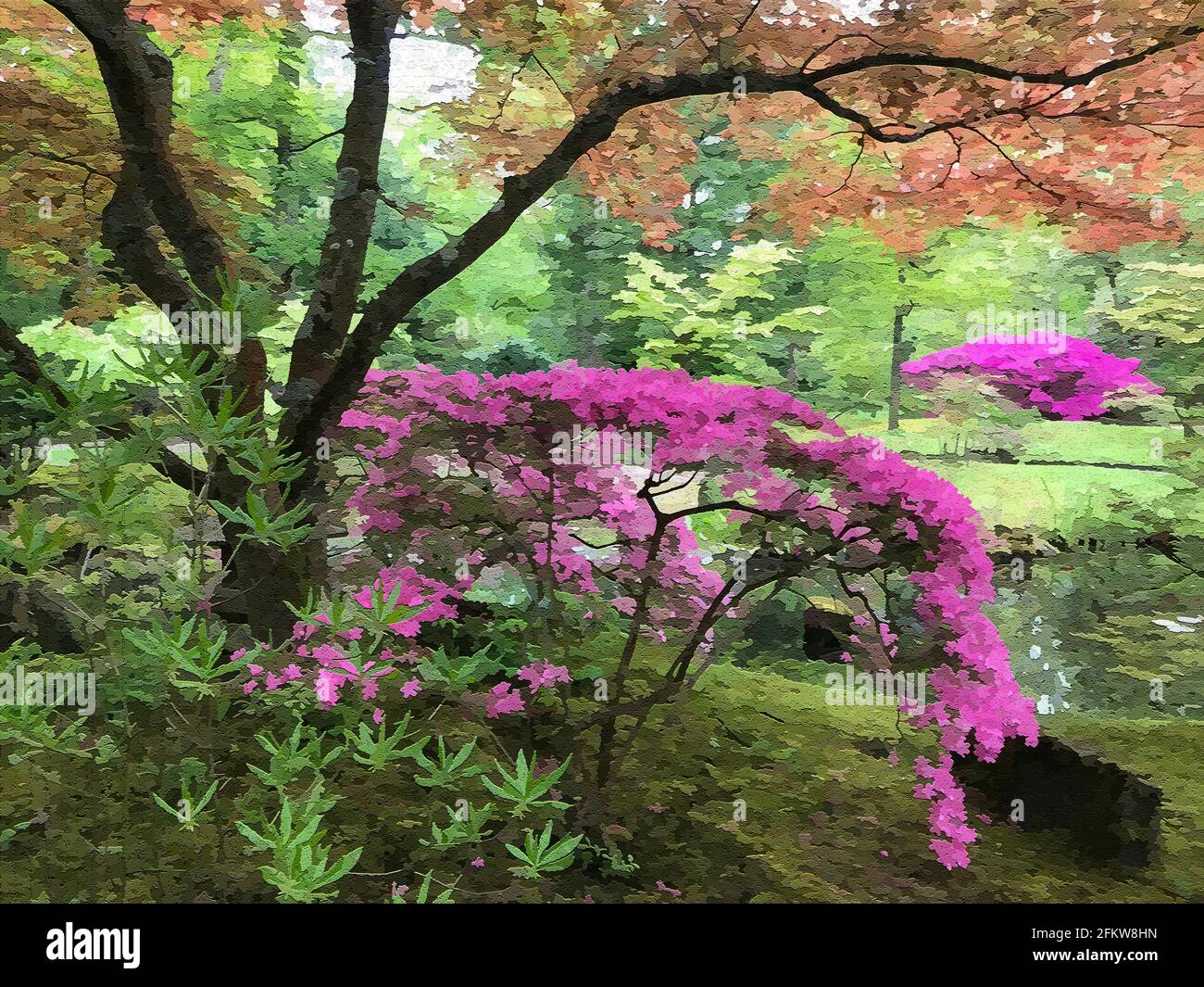 A Japanese garden in The Hague. A Japanese maple combined with a pink azalea. Moss on the ground. A pond in the background. This is converted photo Stock Photo