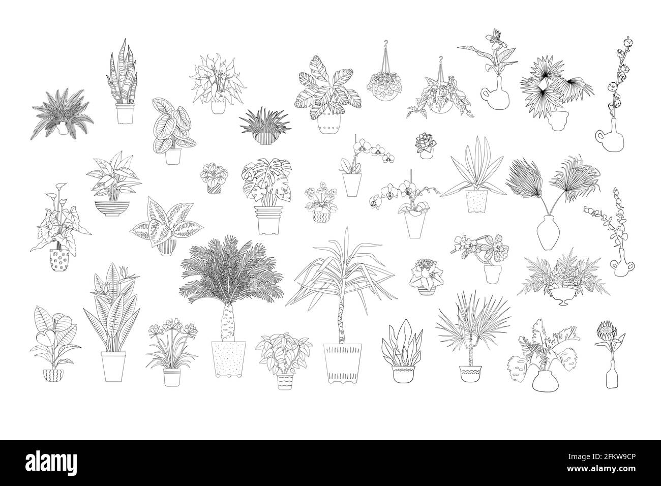 Set of various monochrome tropical house plants in planters. Black line art. Stock Vector