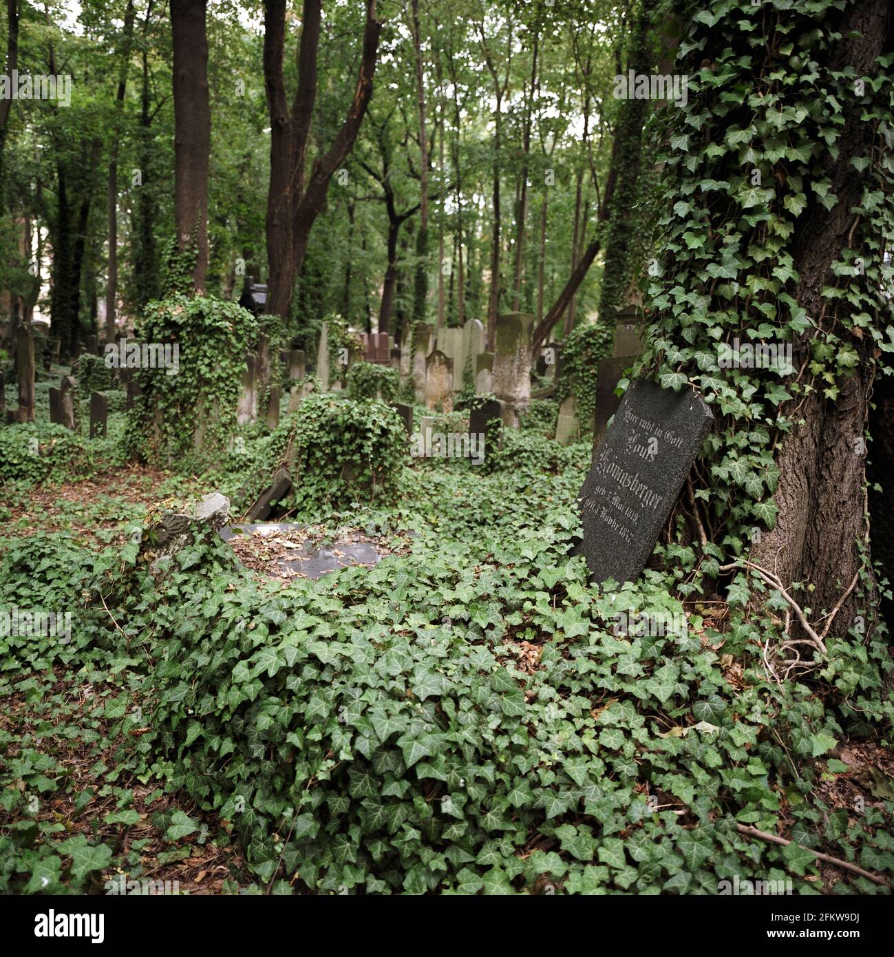 Berlin. Germany. Jewish cemetery on Schönhauser Allee. Stock Photo