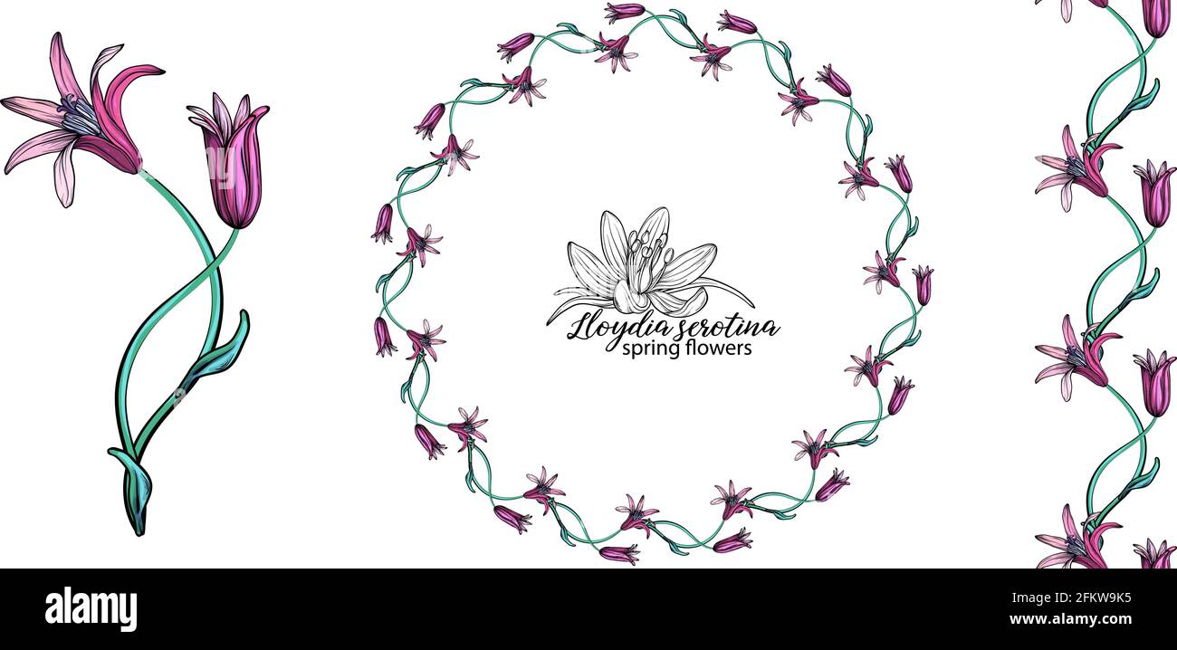 set of pink flowers. Wreath. Bouquet. Spring flowers Stock Vector Image ...