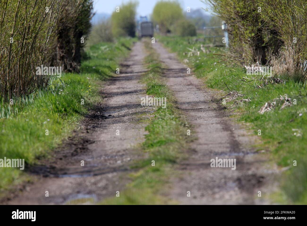 Long narrow lane hi-res stock photography and images - Alamy