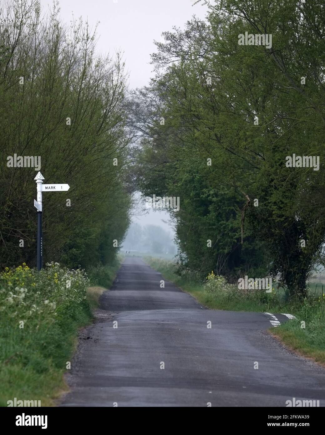 Long narrow lane hi-res stock photography and images - Alamy