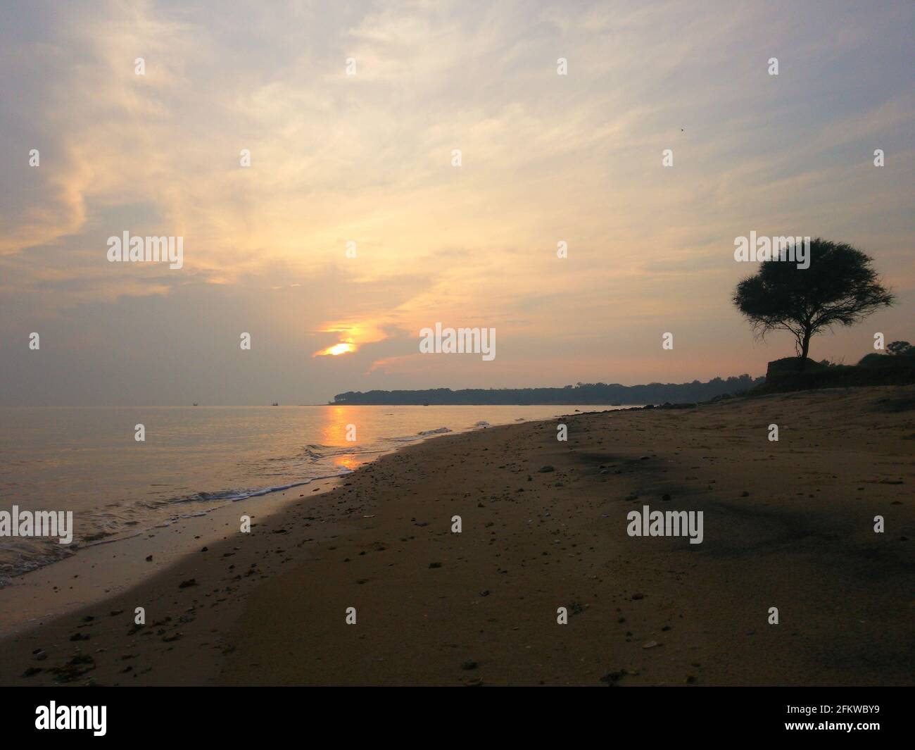 Lone tree overlooking the ocean at sunset Stock Photo - Alamy