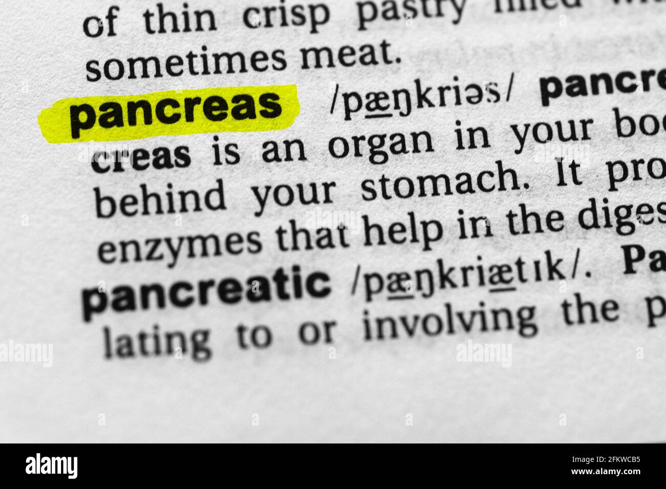 Highlighted word pancreas concept and meaning Stock Photo Alamy