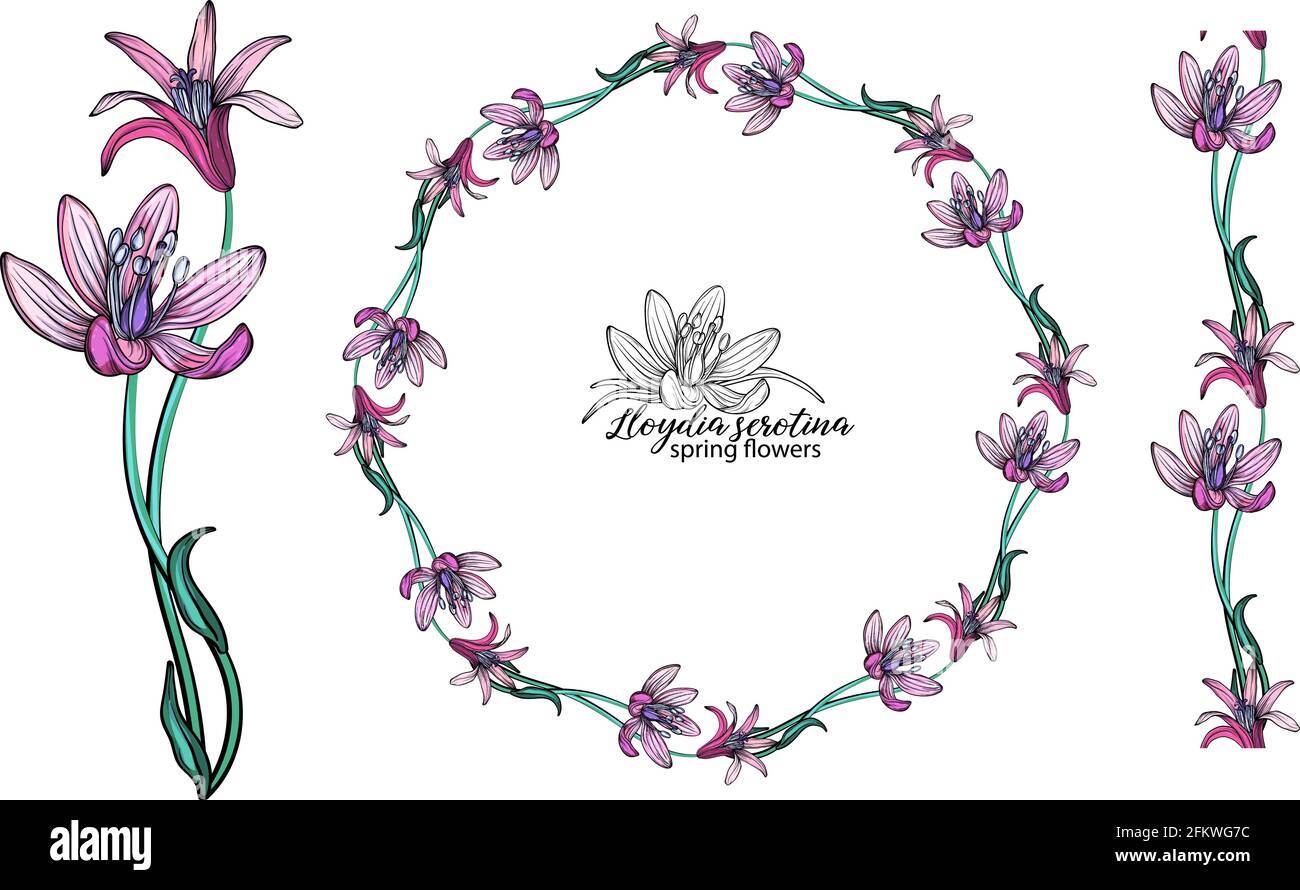 set of pink flowers. Wreath. Bouquet. Spring flowers Stock Vector Image ...