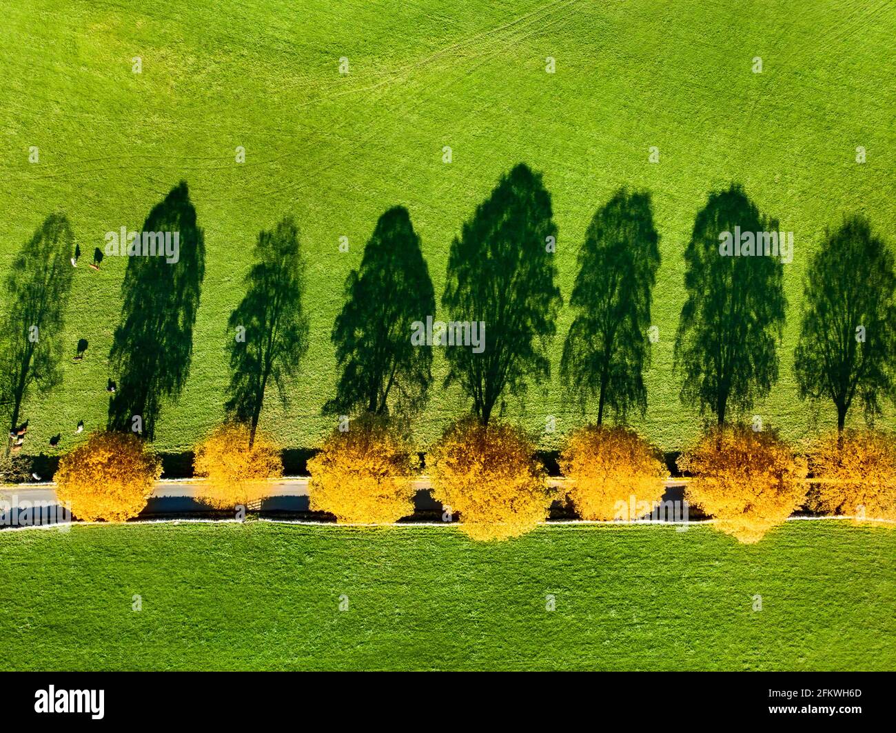 Grass growing along rural road hi-res stock photography and images - Alamy