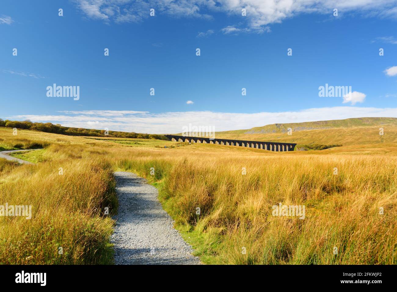 Ribblehead viaduct, located in North Yorkshire, the longest and the third tallest structure on the Settle-Carlisle line. Tourist attractions in Yorksh Stock Photo