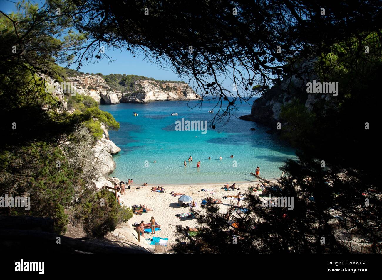 looking down through the trees at the back of on the beautiful cala macarelleta at the crystal clear waters and sunbathers on Menorca spain Stock Photo