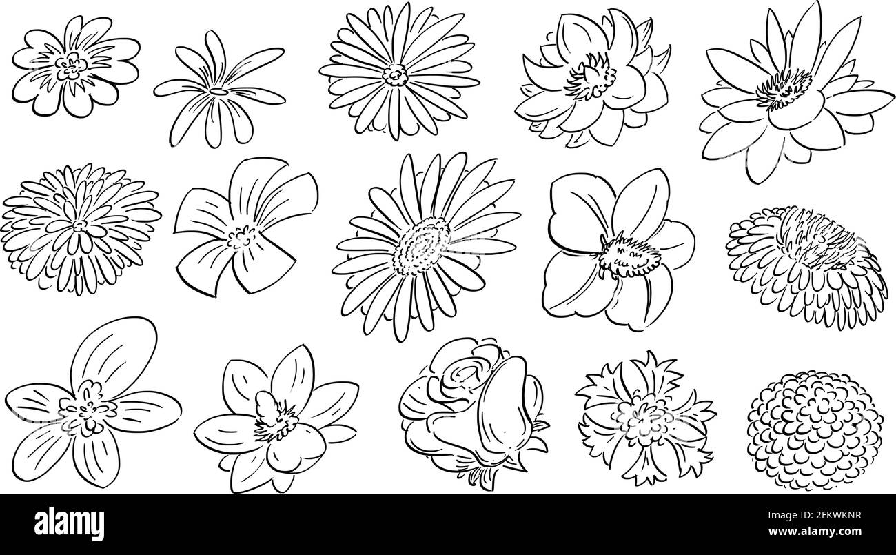 Cartoon flowers Black and White Stock Photos & Images Alamy