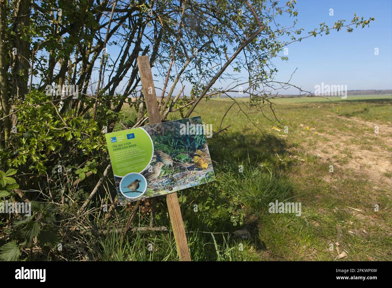 Farmland set aside for farmland birds near Asthall, Oxfordshire. EU birds and habitats directive Stock Photo