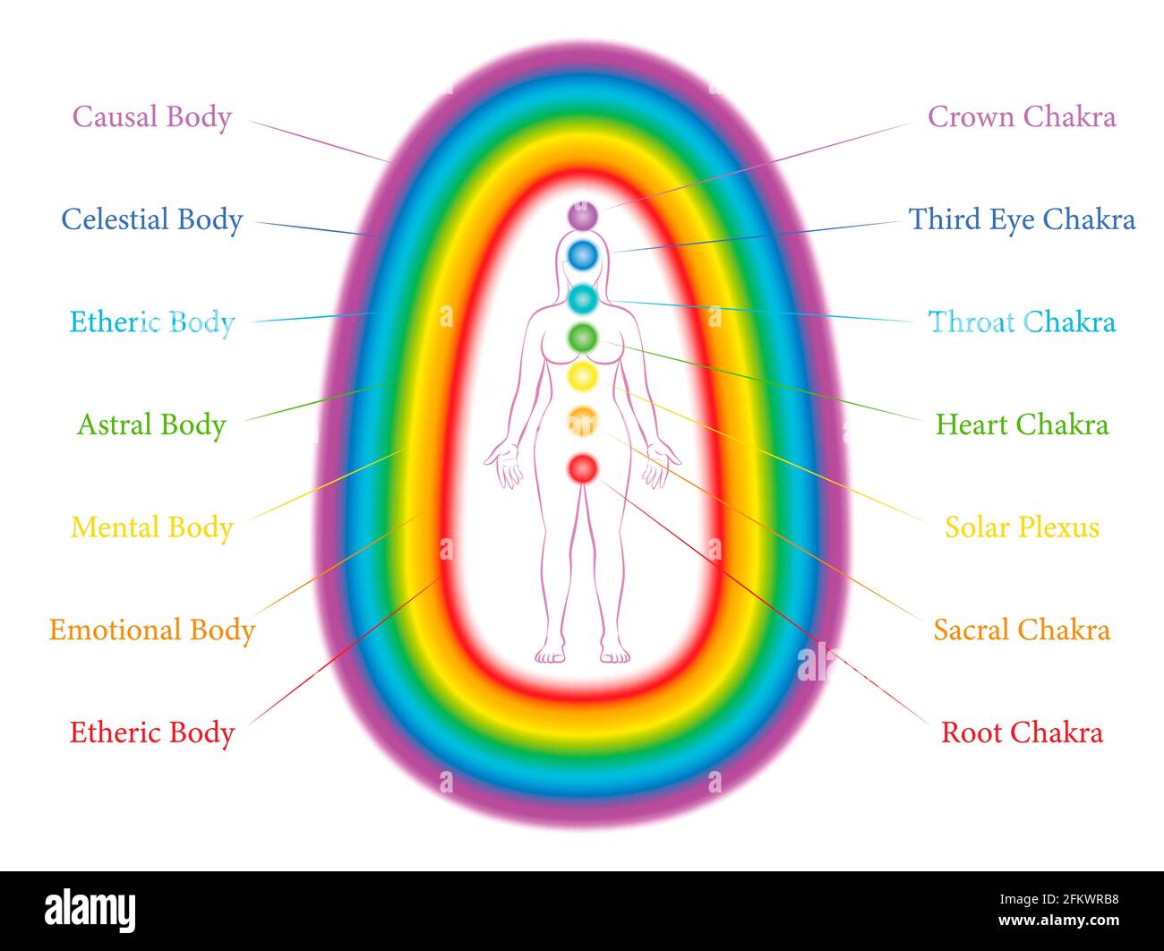 Seven main chakras and corresponding aura layers of a standing woman. Etheric, emotional, mental, astral, celestial and causal layer. Stock Photo