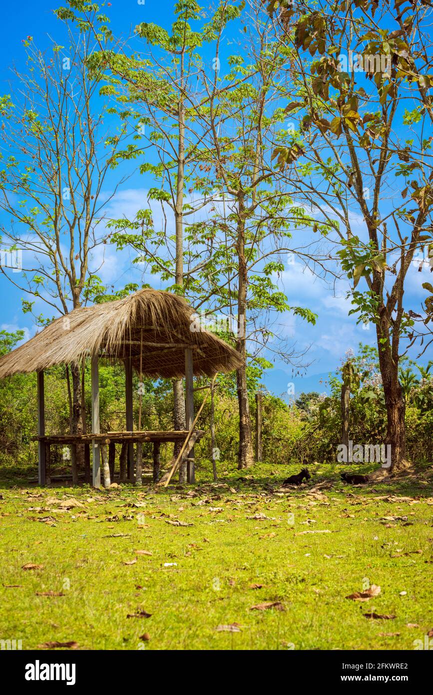 Wooden gazebo in the woods. A scenic view at Hotel outside of Nameri