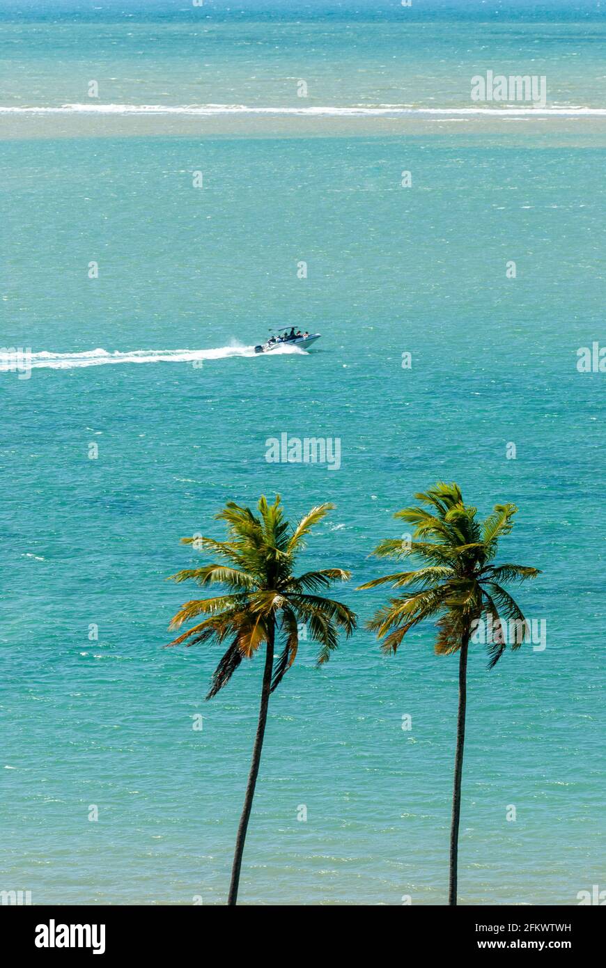 Two coconut trees and the emerald green sea with a motorboat in the  background, at Camboinha beach, Cabedelo, near Joao Pessoa, Paraiba, Brazil  on Jun Stock Photo - Alamy