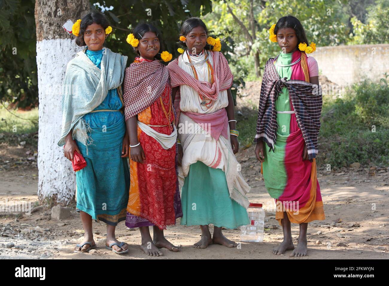 Tribal girls posing for camera wearing traditional tribal Costumes at Lanjigadh village in Odisha, India. DESIA KONDHA TRIBE Stock Photo