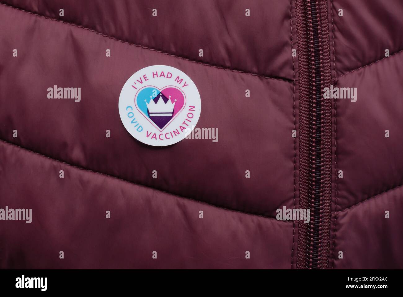 'I've had my Covid Vaccination' sticker badge on maroon quilted jacket. Stock Photo