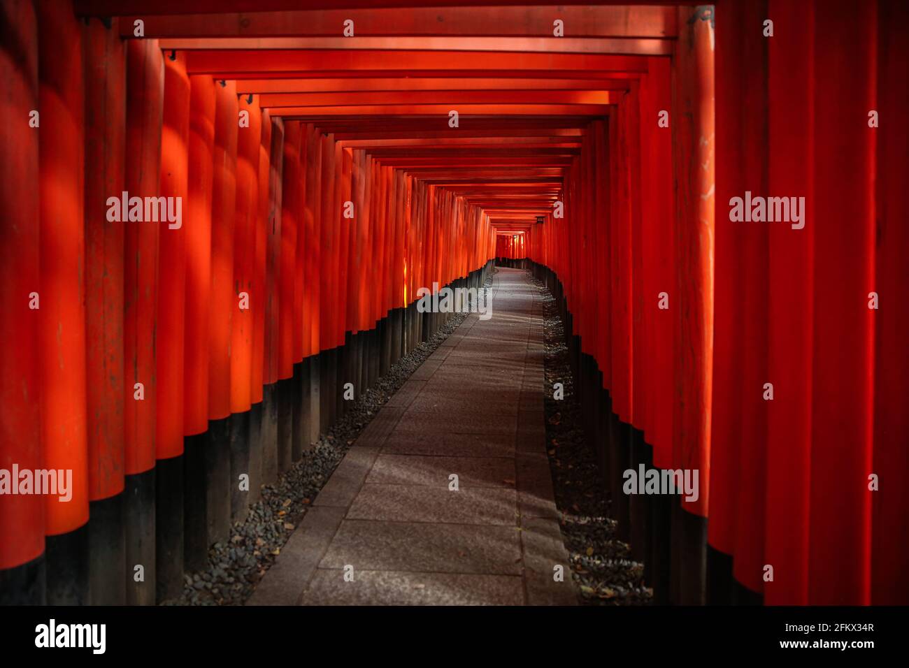 Fushimi Inari Taisha, thousands of red torii gates at Japanese Shinto ...