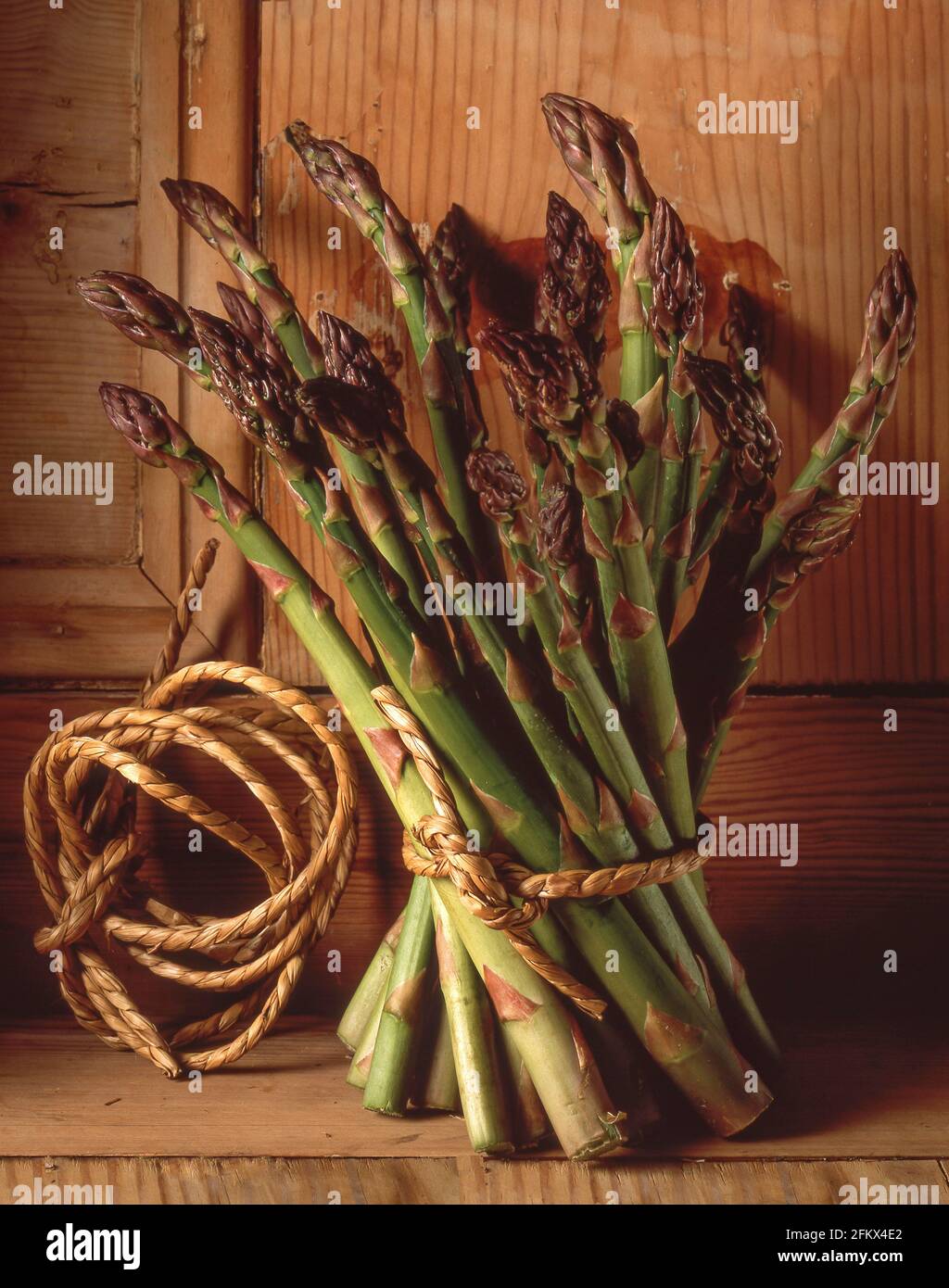 Bunch of string-tied asparagus spears in studio setting, Greater London, England, United Kingdom Stock Photo