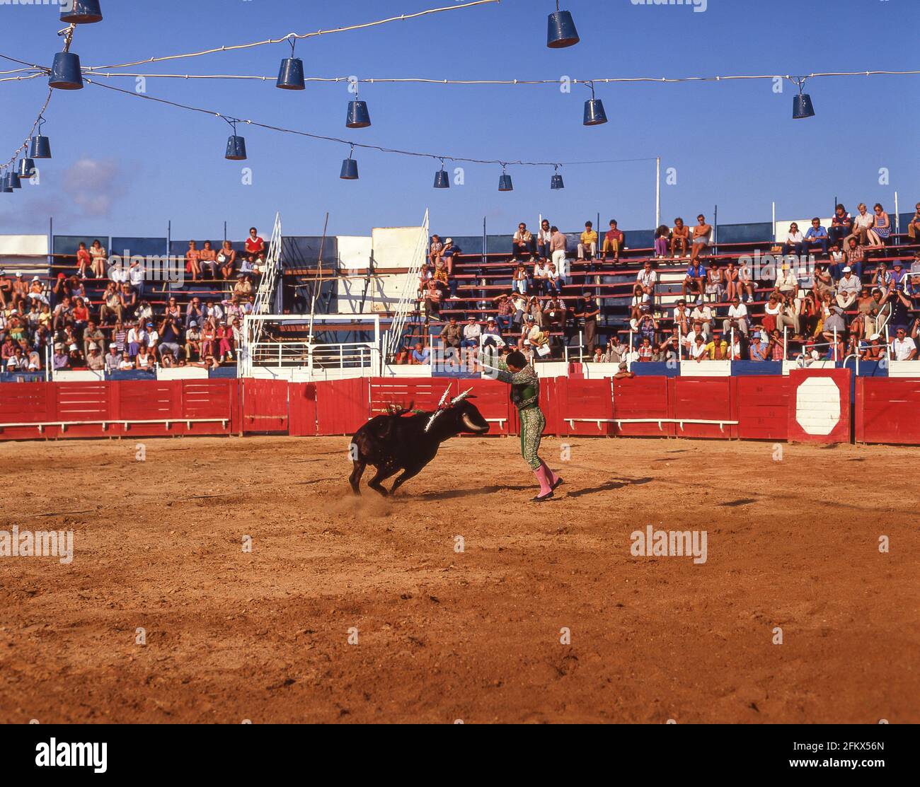 Cavaleiro and bull in bullring, Povoa de Varzim Bullfighting Arena, Povoa de Varzim, Porto (Oporto), Norte Region, Portugal Stock Photo