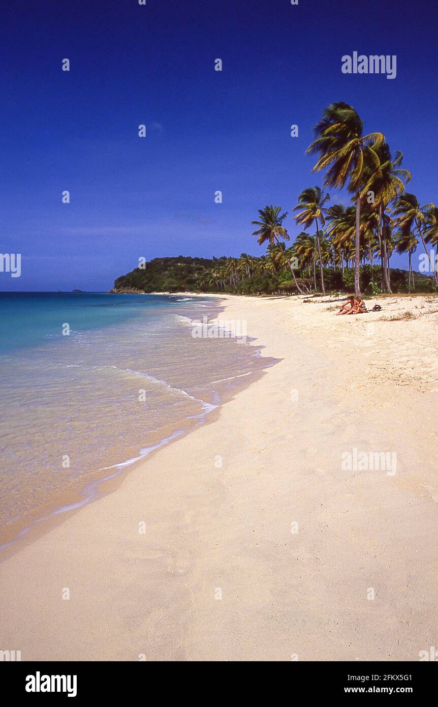 Darkwood Beach, Saint Mary’s Parish, Antigua, Antigua and Barbuda, Lesser Antilles, Caribbean Stock Photo