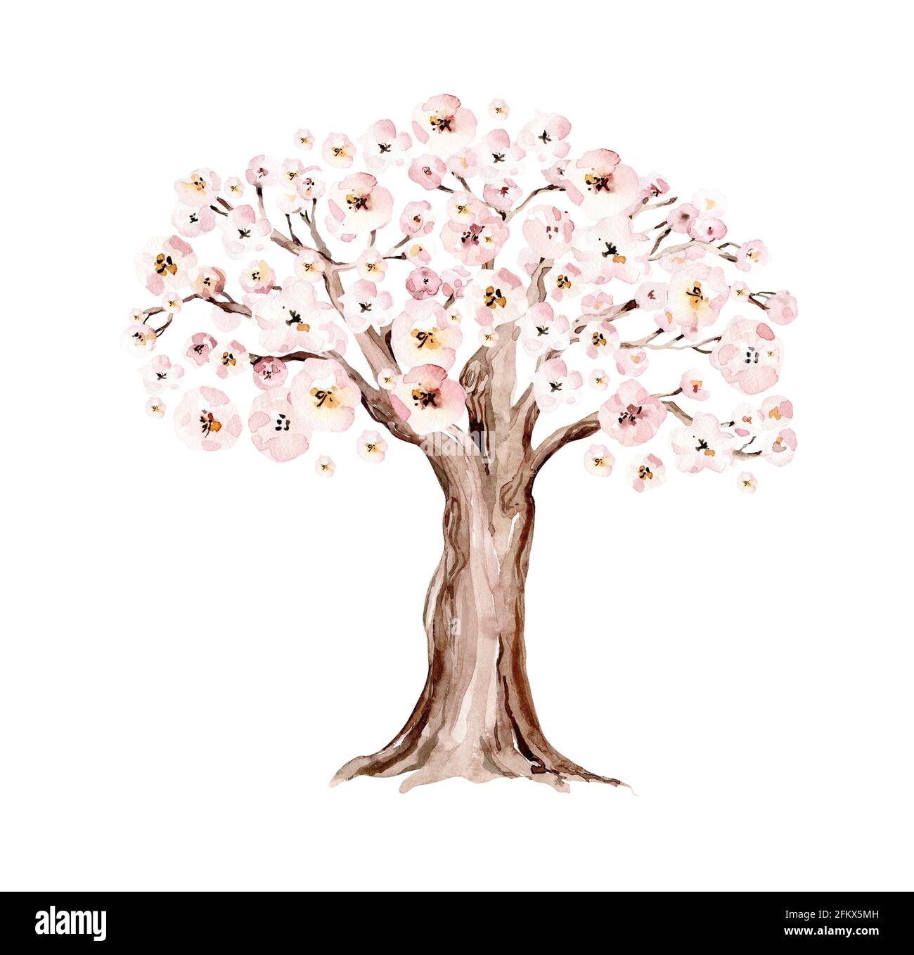 Watercolor Genealogical blossom cherry Family tree. Watercolor ...