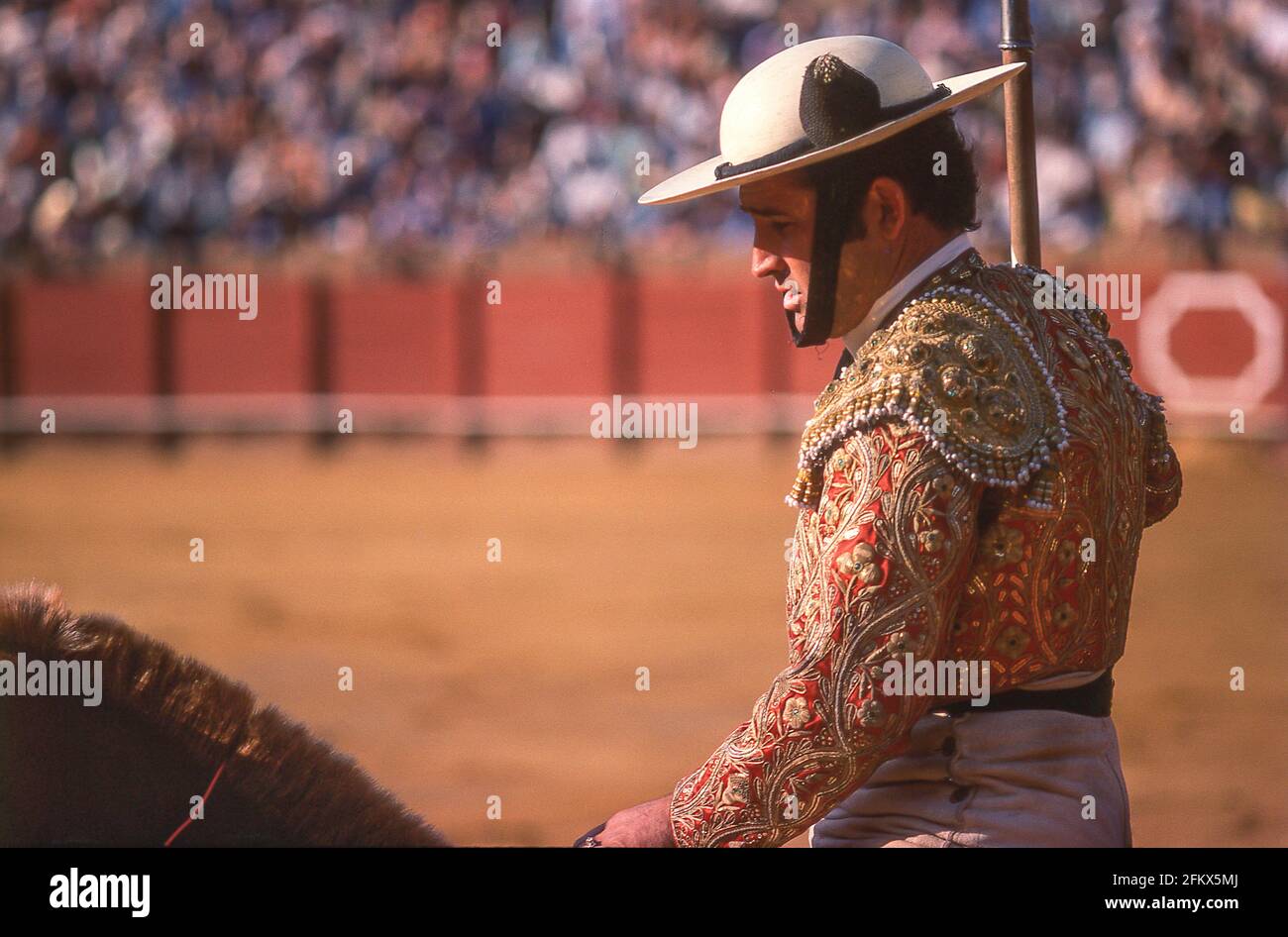 El Picador on horseback at bullfight, Plaza de toros de La Malagueta, Malaga, Costa del Sol, Malaga Province, Andalucia, Spain Stock Photo