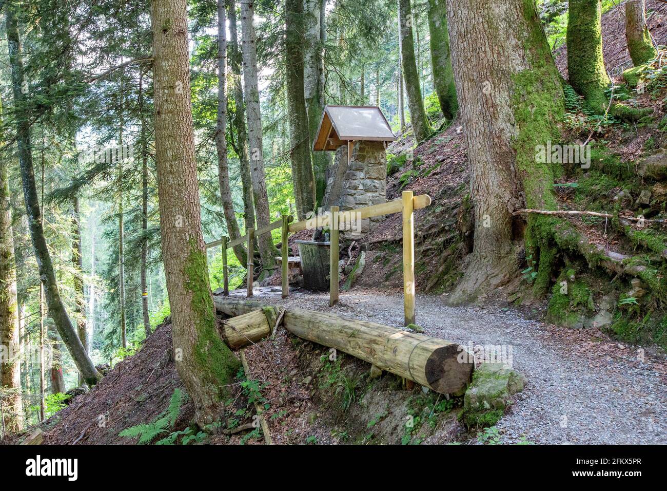 Path To The Source Of The Holy Ilga From Schwarzenberg, Bregenzerwald, Vorarlberg, Austria Stock Photo