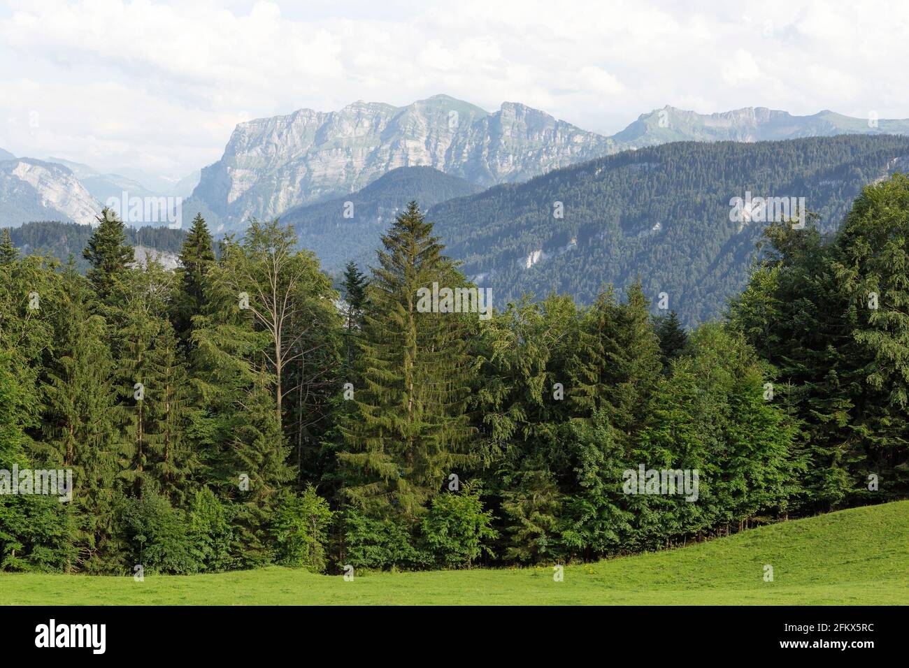 View From Schwarzenberg In The Bregenzerwald To The Kanisfluh, Vorarlberg, Austria Stock Photo