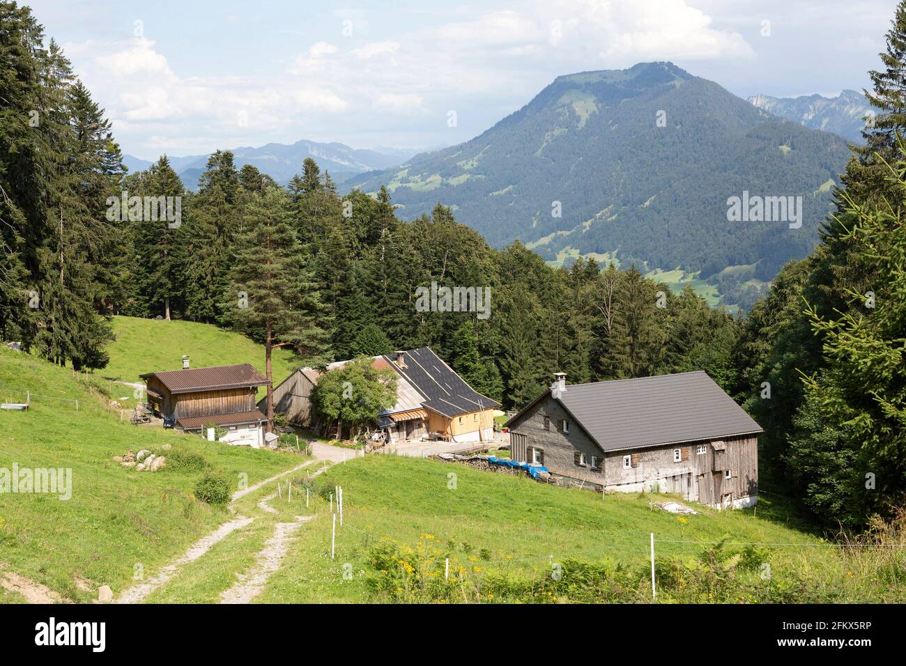 View From Schwarzenberg In Bregenzerwald To The Niedere, Vorarlberg, Austria Stock Photo