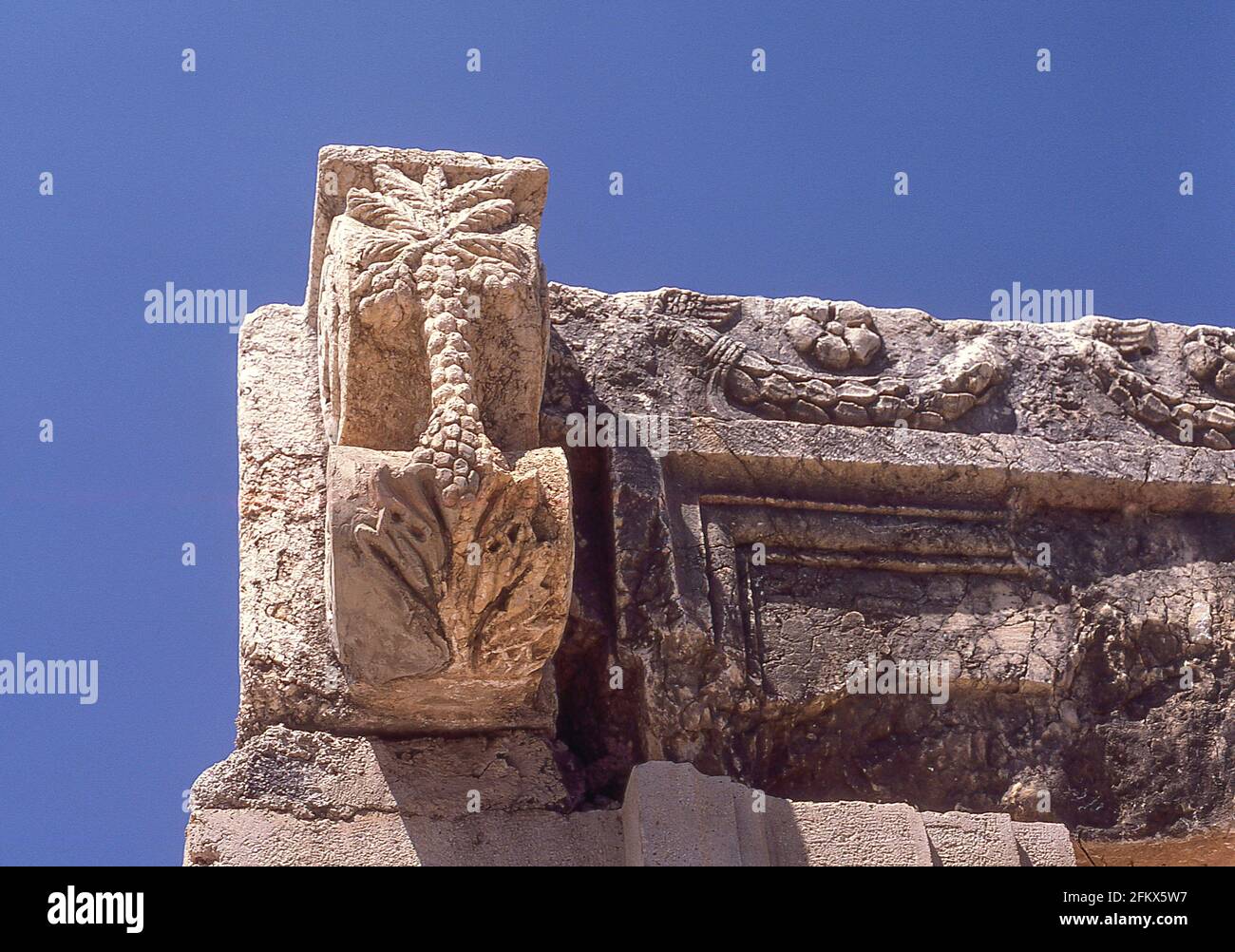 Ancient stone carving of palm tree at ruins of Great Synagogue at Capernaum (Kfar Nahum), Sea of Galilee, Northern District, Israel Stock Photo